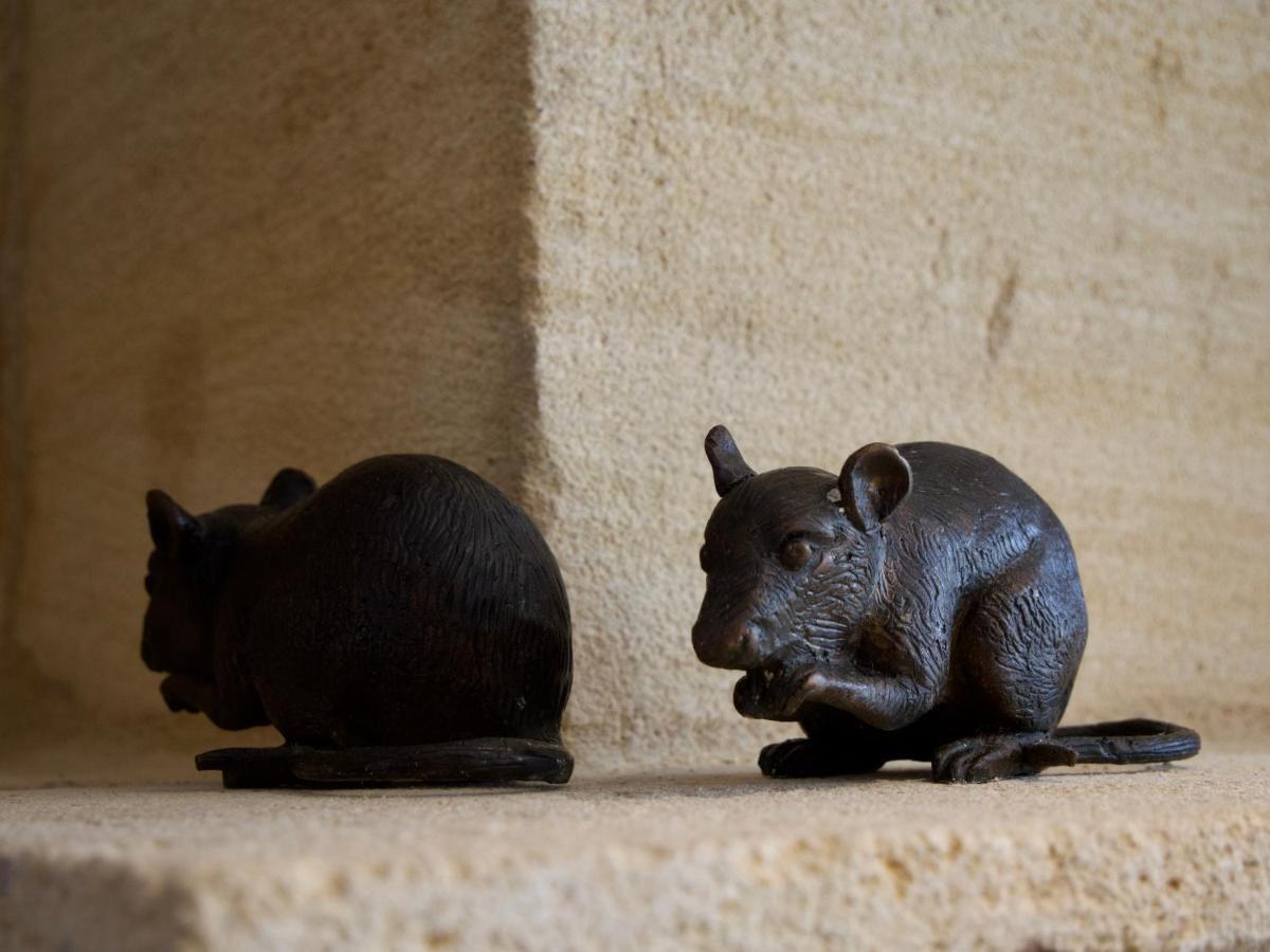 Gite Avec Piscine, Chateau De Lescours, St-Emilion Saint-Sulpice-de-Faleyrens ภายนอก รูปภาพ